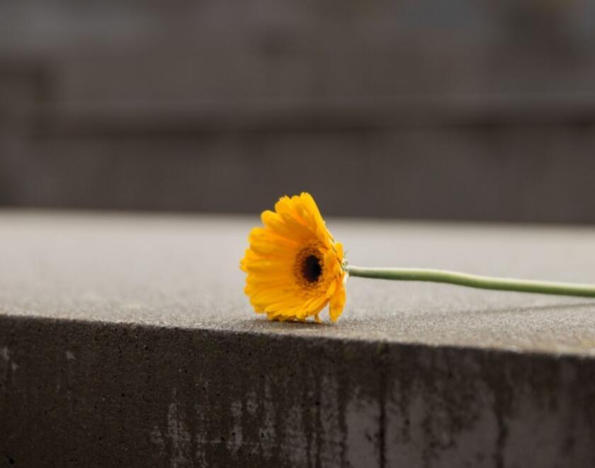 The Holocaust Memorial in Berlin