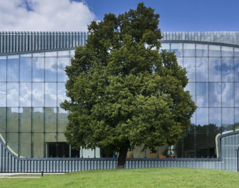 POLIN Museum of the History of Polish Jews