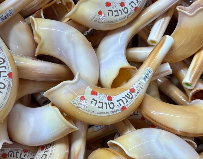 Shofarim for sale